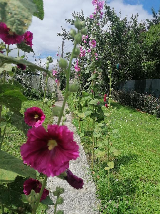 Le104Bis Bed & Breakfast Poitiers Bagian luar foto